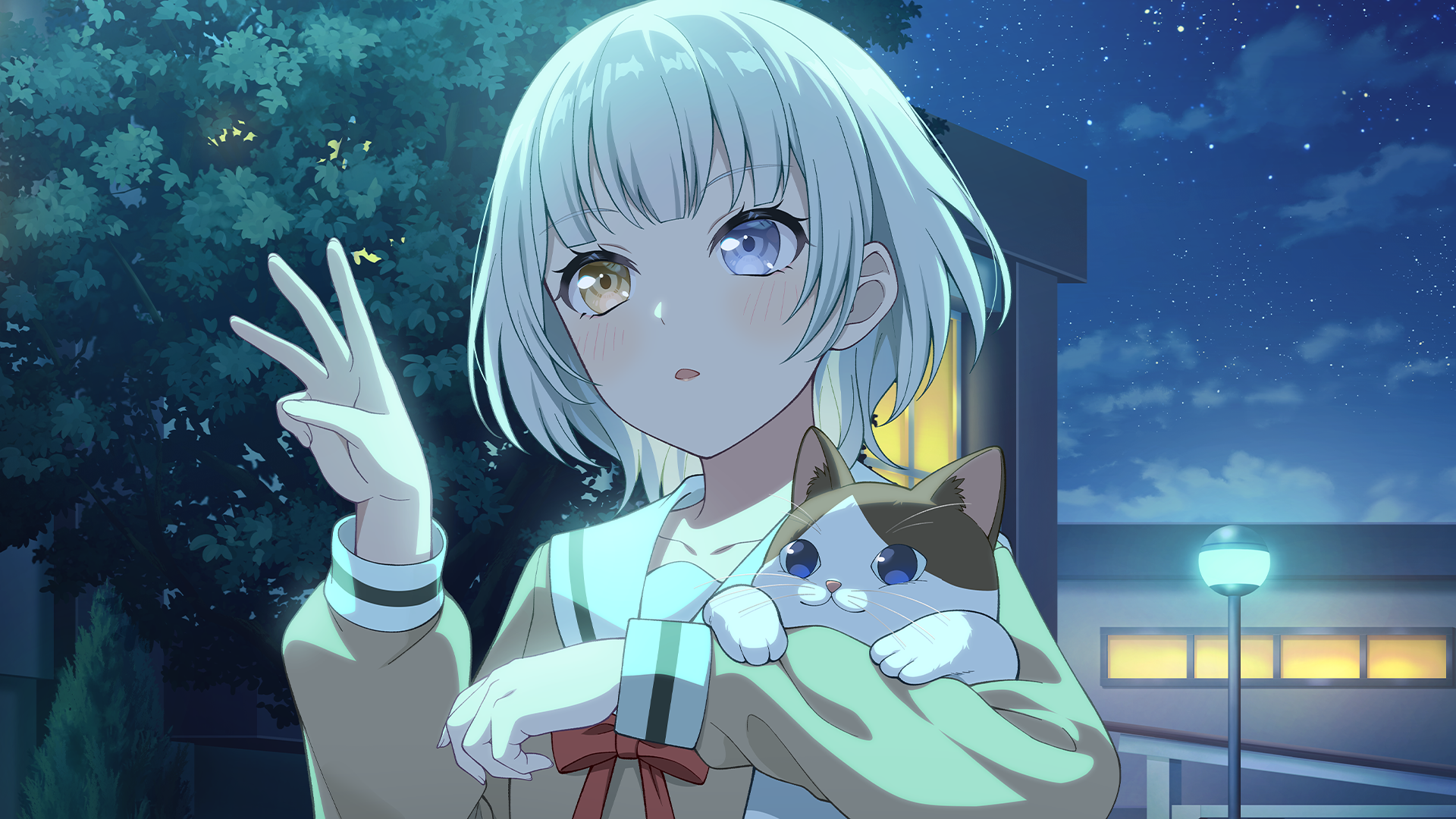 Vollillustration